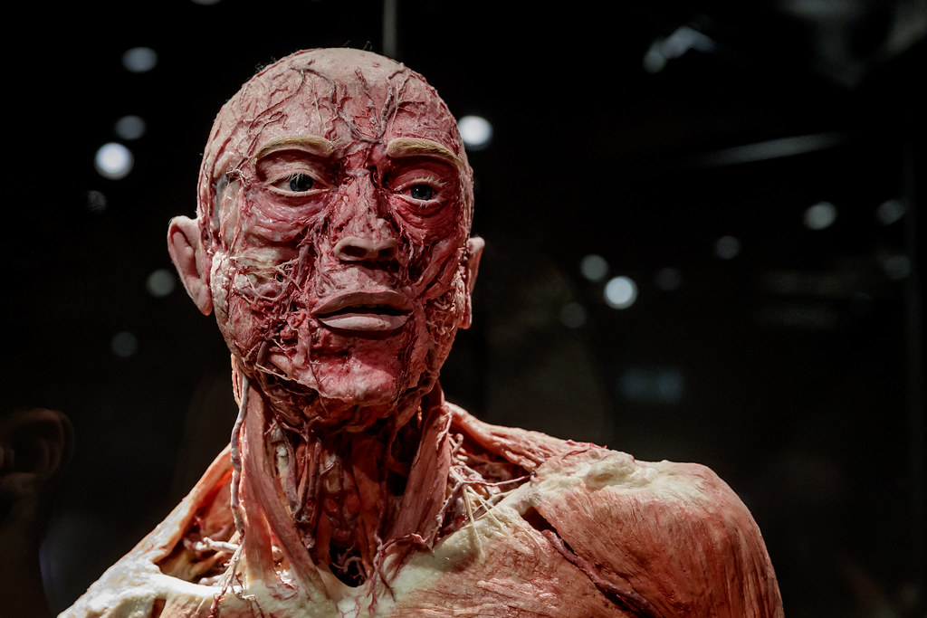 Body Worlds